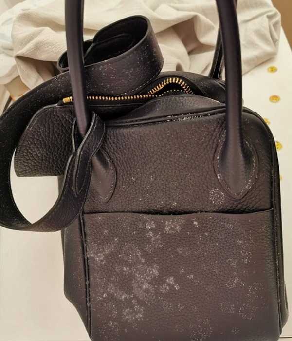 箱包發(fā)霉怎么辦？