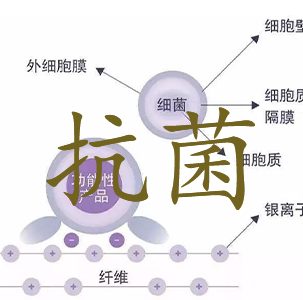 塑料抗菌的重要性