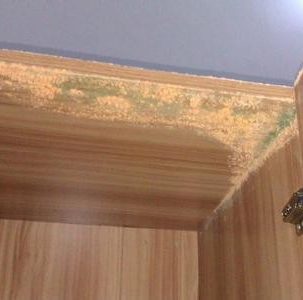 揭秘梅雨季衣柜發(fā)霉三大原因