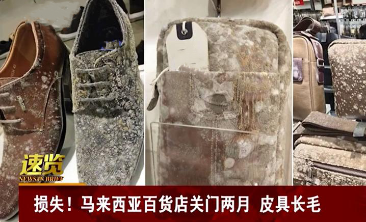 包包在國外發(fā)霉怎么辦