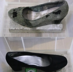 哪家的防霉片效果好？| 防霉片測試對比