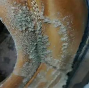 鞋子發(fā)霉怎么辦？